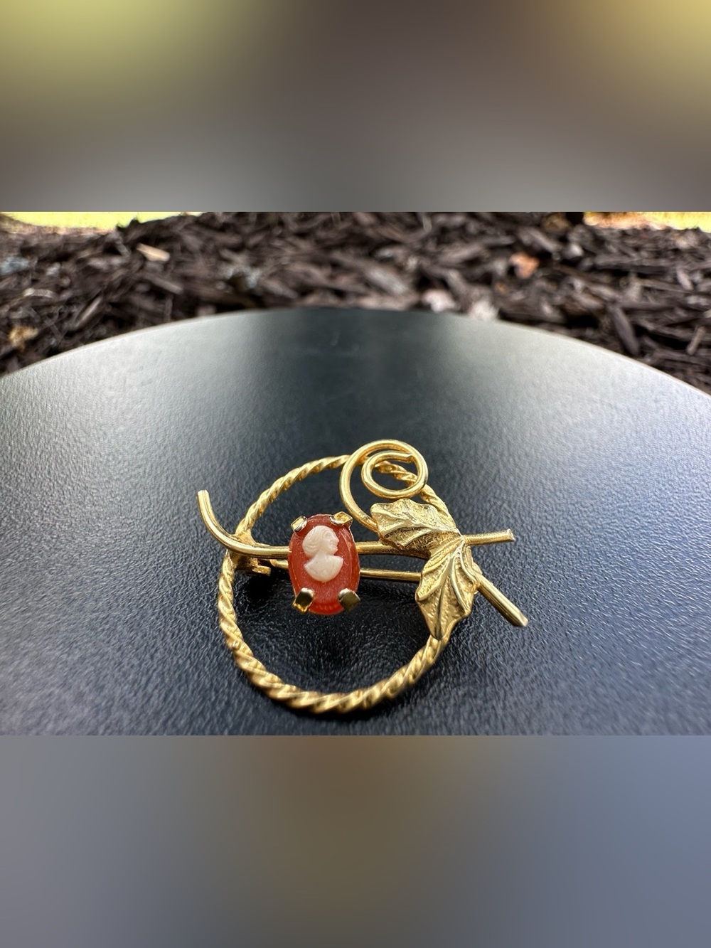 Vintage gold-tone twisted wire circle frame leaf cameo brooch